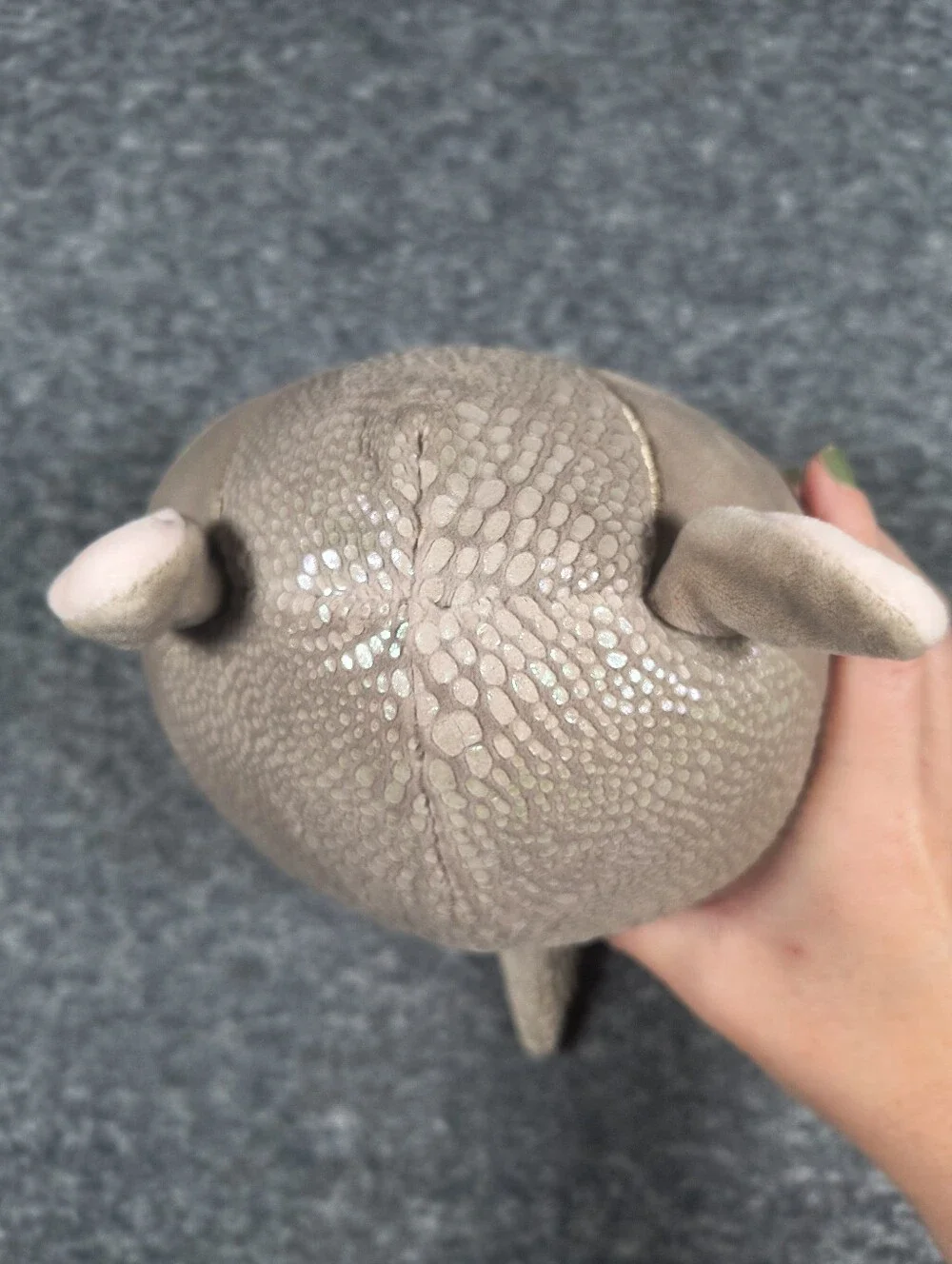 Thompson the Armadillo Forever Edition Squishmallow 8
